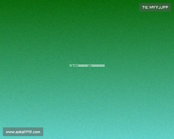 WTCC首秀燃情开拍，12月深圳打响洲际争霸