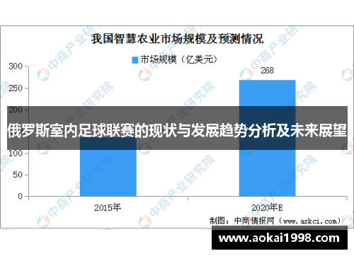 俄罗斯室内足球联赛的现状与发展趋势分析及未来展望