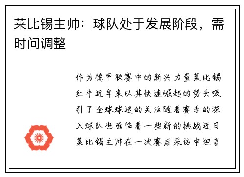 莱比锡主帅：球队处于发展阶段，需时间调整