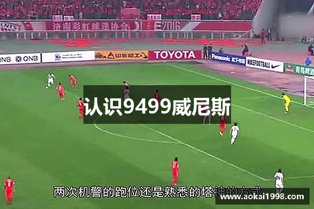 认识9499威尼斯